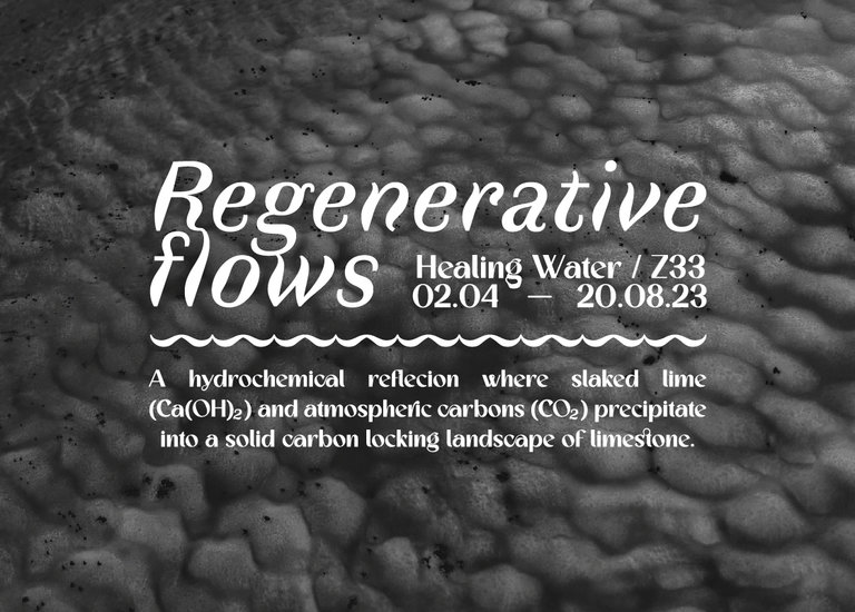 Regenerative_Flows_INVITATION
